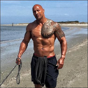 Hottest-Rock-Johnson (1024x1024, 162 kБ...)